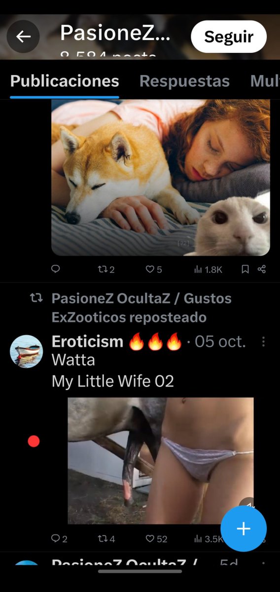 Perfil Bajo 17 tweet media