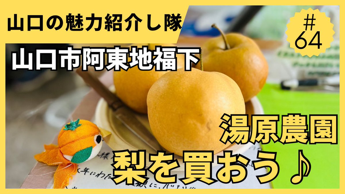yamaguchi_sango's tweet photo. 64本目のYouTube動画をアップロードしました♪

山口市阿東地福下【湯原農園で梨を買おう♪】編です。

良かった見てみて下さい♡
↓
山口の魅力紹介し隊

https://t.co/zeDUirGqeX

#山口県
#山口市
#山口市グルメ
#山口市阿東
#梨園
#梨 https://t.co/BcgGvMBwKJ