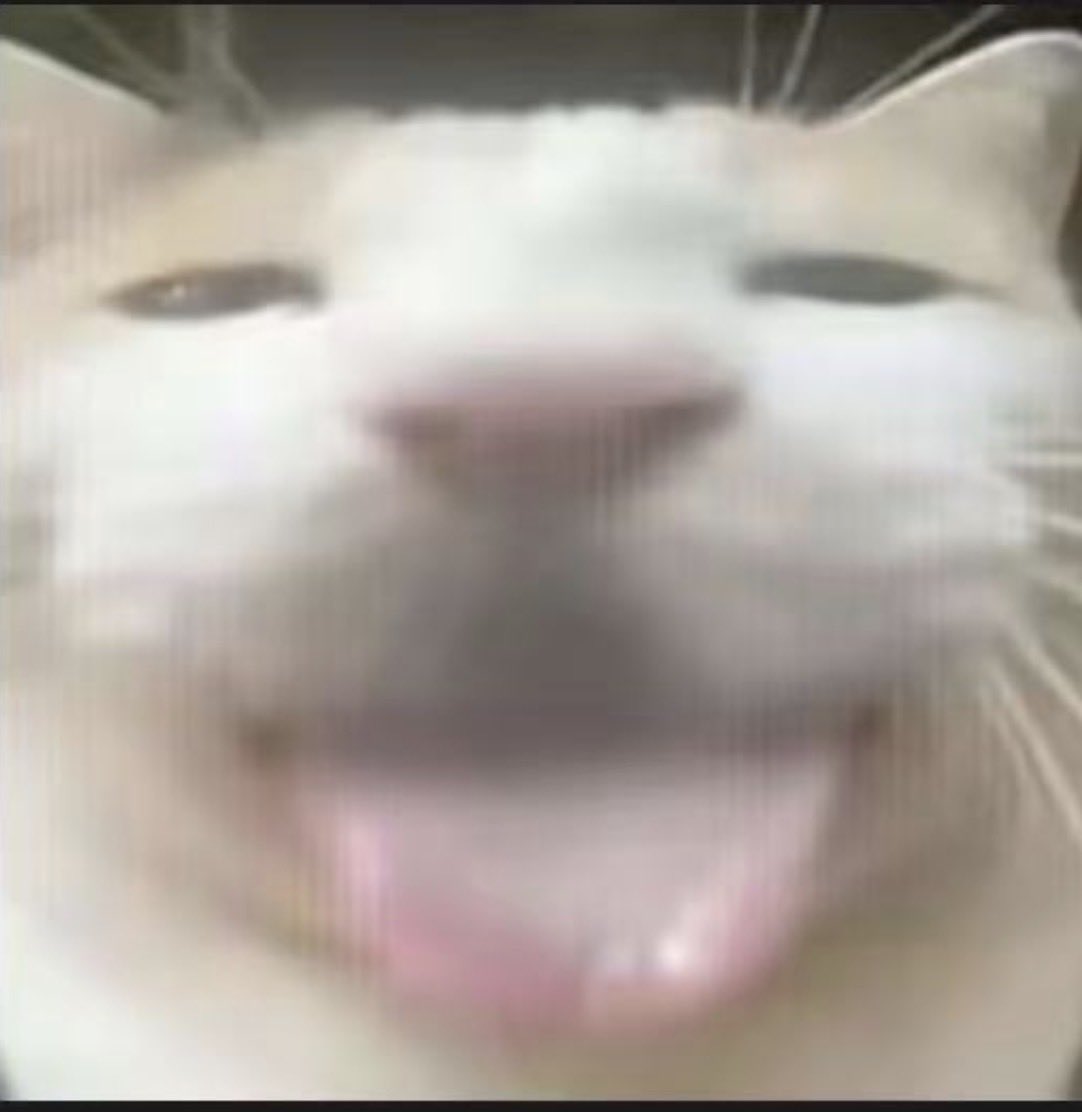 Good 基米 Guys

<a href="/hajimi_CTO_BNB/">哈基米</a>