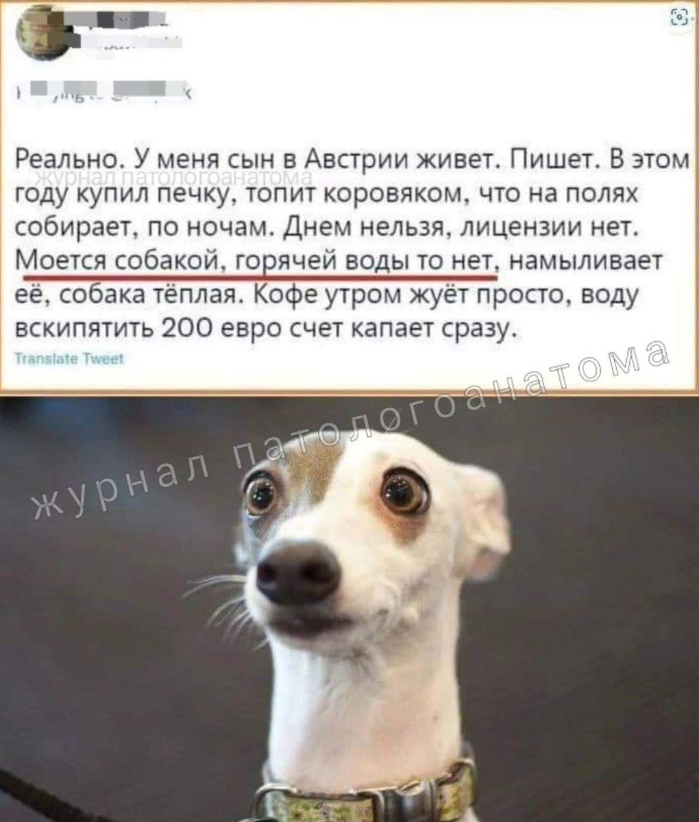 Tweet media one