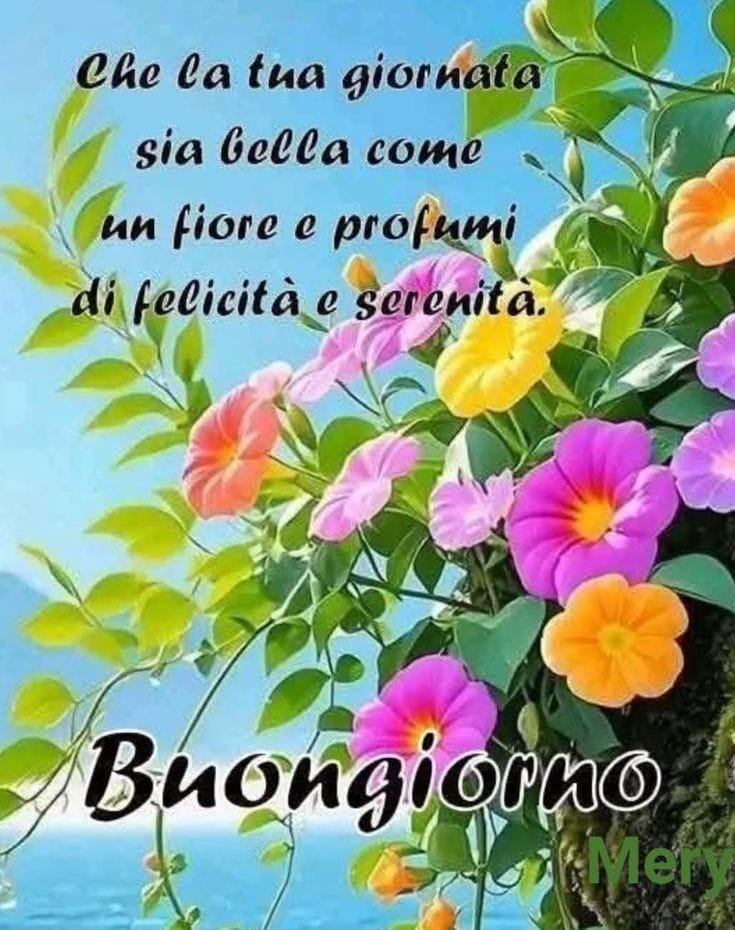 Marianna tweet media