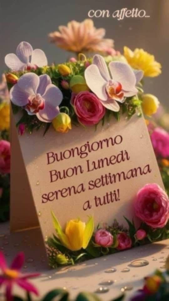 RITABIANCHi56 tweet media