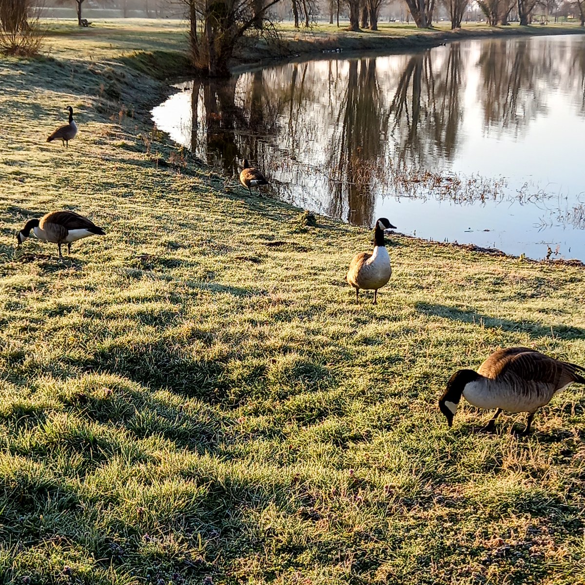 FrancAller_info's tweet photo. @TomDrach Y'a des outardes, aux Buttes ? 🙄
#ItsAlwaysAnOutarde https://t.co/1EjHx2ehzP