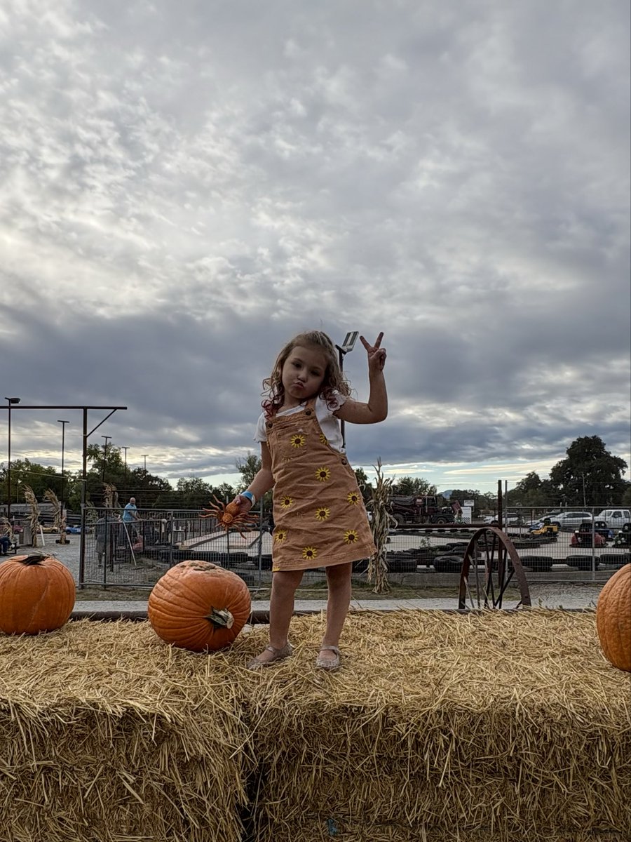 katelynnml___'s tweet photo. Love love love 💛🎃 https://t.co/VHy4rMoDeU