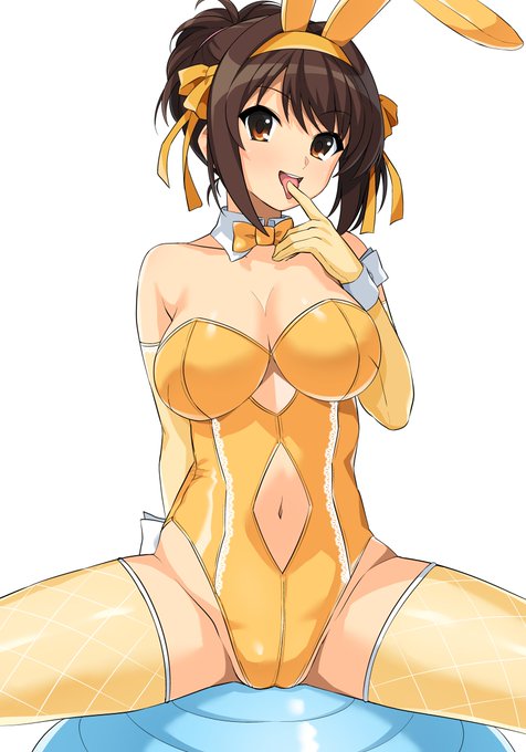 バニーハルヒさん 