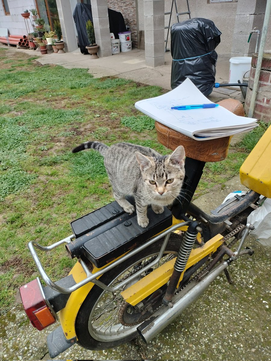 gabar311's tweet photo. kitty dump https://t.co/LDL37QuCfL