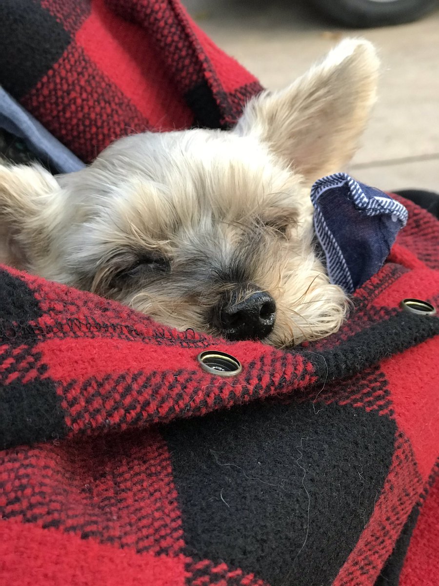 hodootimes's tweet photo. 따끈따끈❤️ https://t.co/qJG15zVt80