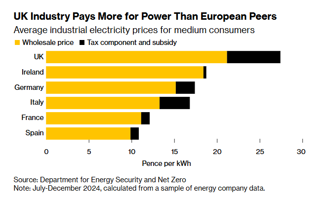 Zoe Schneeweiss tweet media