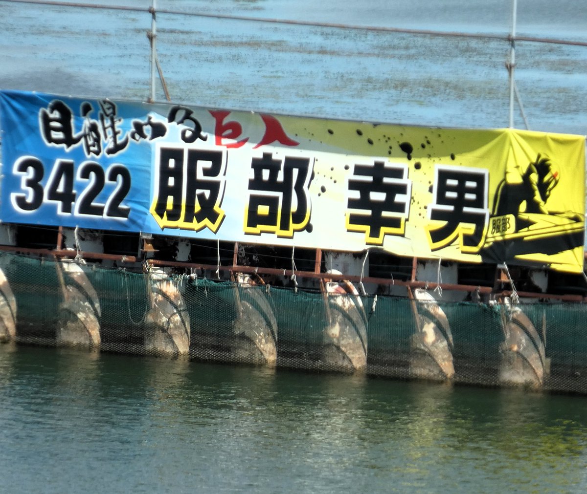 hochi_boatrace's tweet image. ＧⅢ　つるやパン提供　第１０回みんな大好き！サラダパン賞（１３日・ボートレースびわこ・前検日）
早速、#服部幸男 選手が試運転に飛び出しております😍
#ボートレース　
＃びわこ