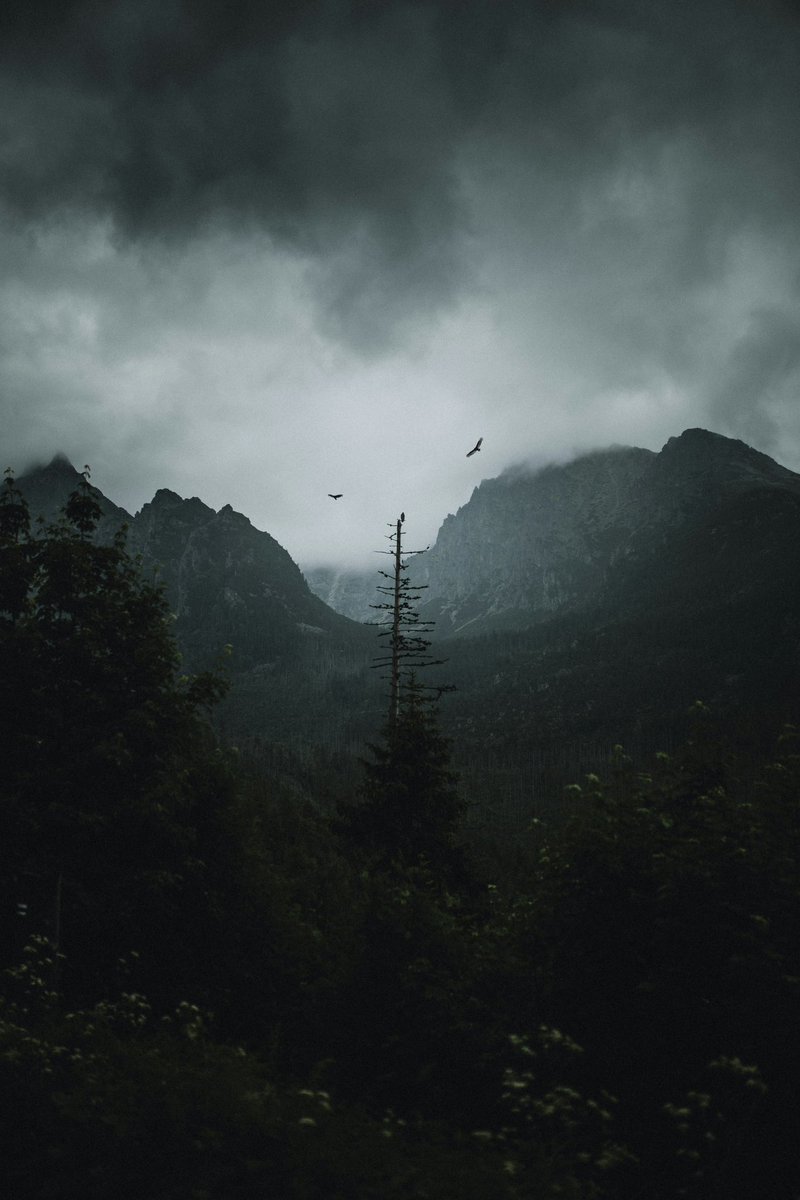 gulingkotorr's tweet photo. Setup📱

Widgy widget bundle (8 widgy):

https://t.co/1423Y5TSJU

#Wallpaper #Widgy #iphone #widgify #ios https://t.co/lAsGCf86mB