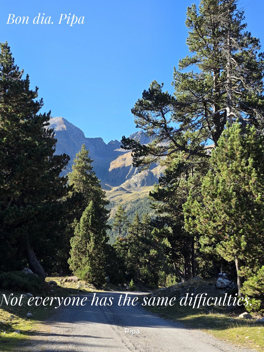 pipapipia's tweet image. DIFFICULTIES
Throughout my life I have observed that:
There are people who live life with some difficulties.
But there are people who experience many difficulties and a little bit of life.
BON DIA ♥️ AMICS MEUS