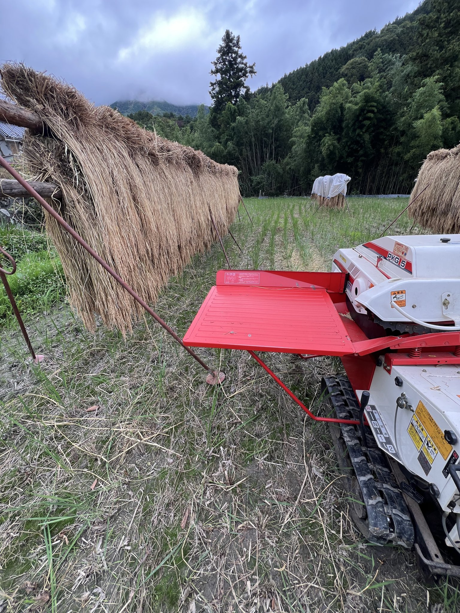 高校生スバリスト《SFR》(ゆうと) (@SUBARU_1953) / X