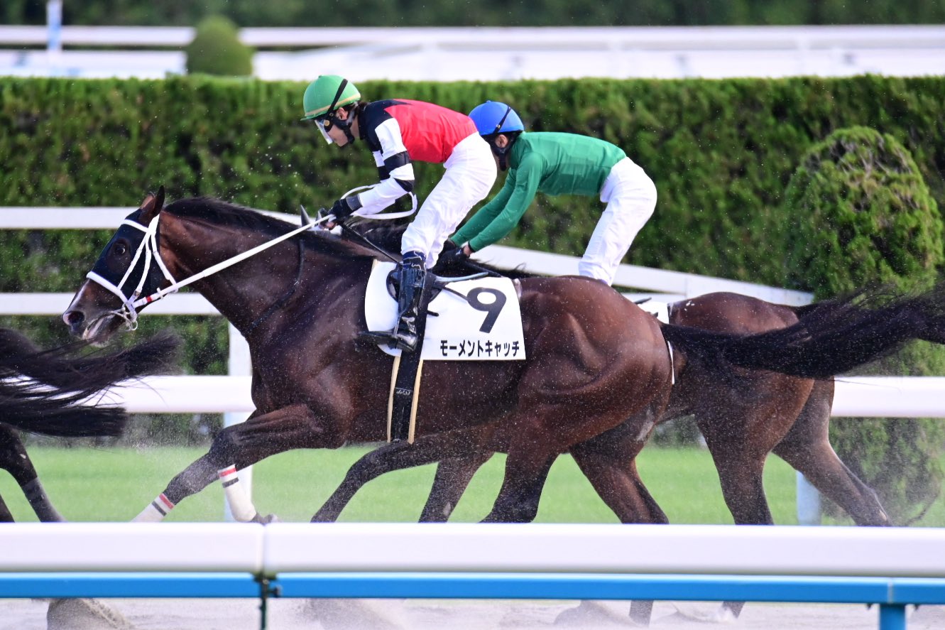 Tomo (@hogatomo0708) / X