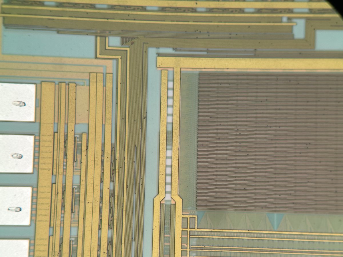 joey___deng's tweet image. bf df microscope