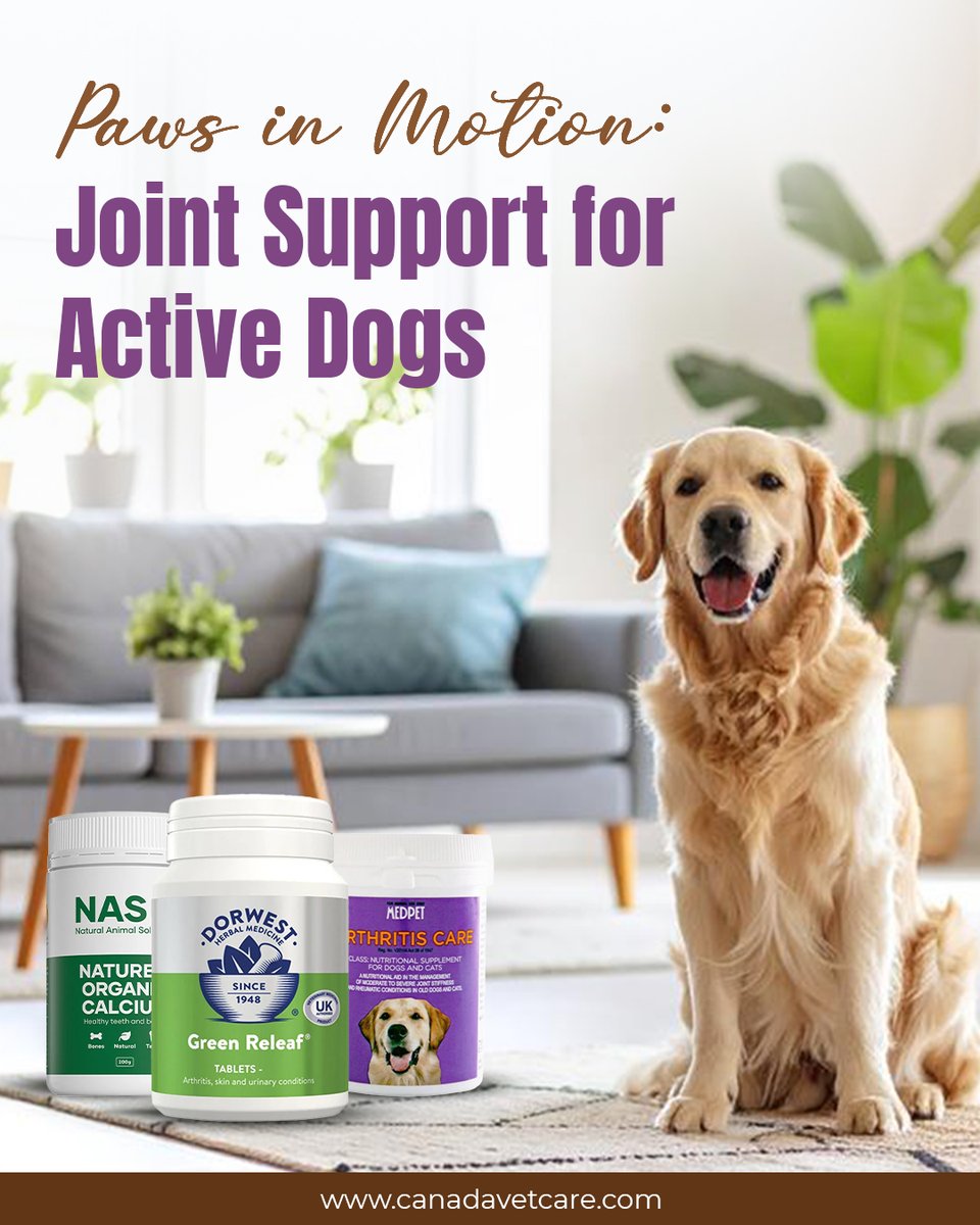OliverQuee28294's tweet image. Love means care—protect your pet’s joints with trusted formulas from CanadaVetCare.

Explore All : canadavetcare.com/dog-joint-care…

#dogjointsupport #dogjointhealth #DogCareWithLove