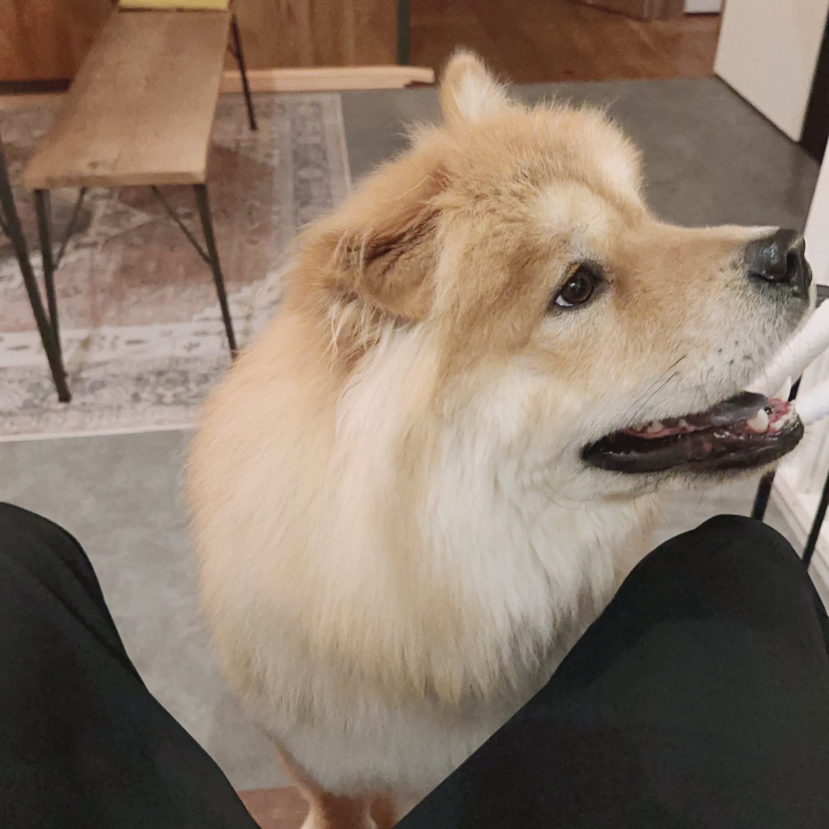 E6%9C%80%E9%AB%98%E3%81%AE%E5%9C%9F%E6%97%A5