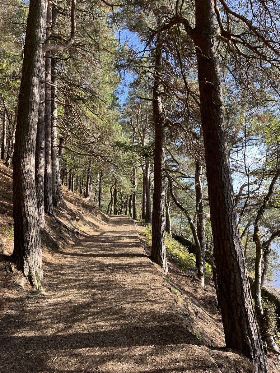 hikingshawty's tweet image. pics from yesterday’s walk &amp;lt;3