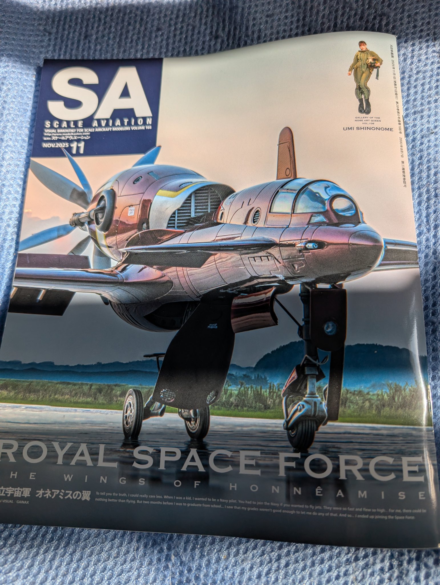 鑑賞石　船 ねりごま船渠🚢 on X: 