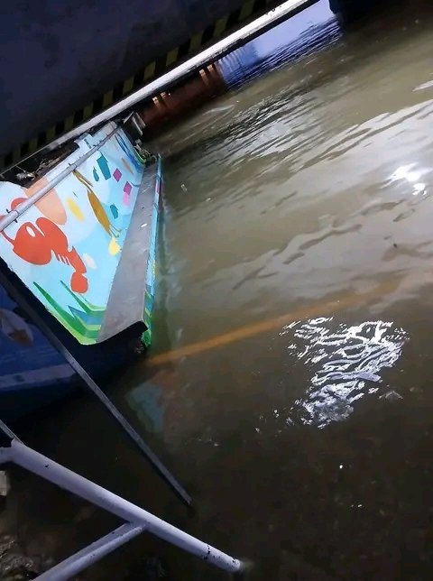 De nuevo en alerta maxima.
Se empieza a desbordar esta noche el Río Pánuco, a la altura del Puente de Tampico.
Se pide a población de Pánuco, Tempoal, El Higo en Veracruz que busquen refugios seguros, ante más inundaciones como en Poza Rica y otros poblados.