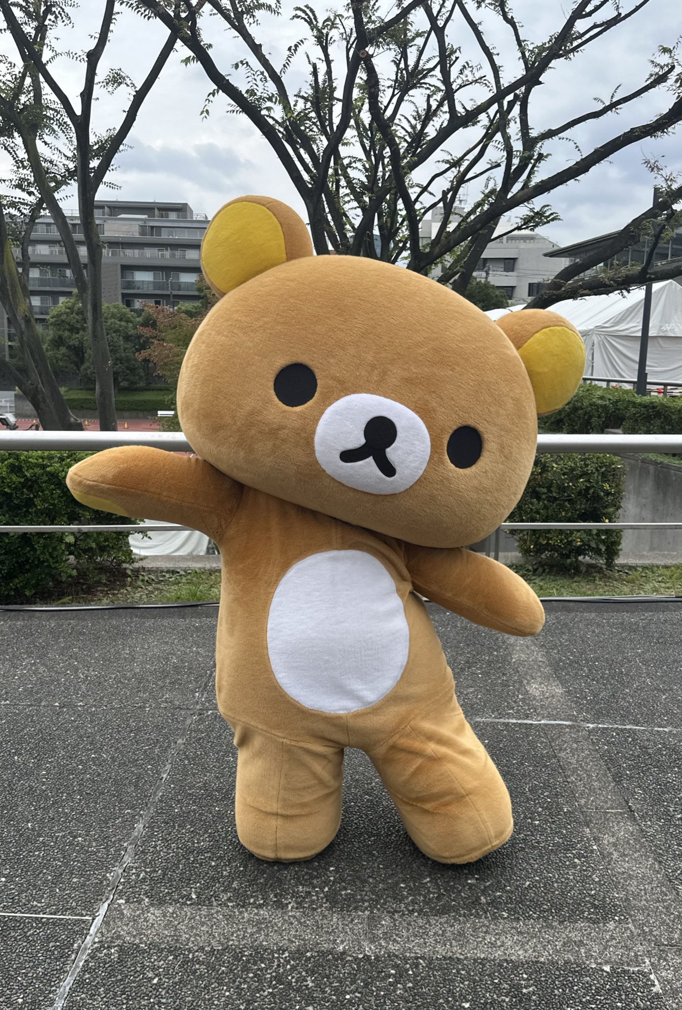 【まとめ売り】リラックマ♡マスコットセット リラックマ マスコット ぬいぐるみ ストラップと衣装セット