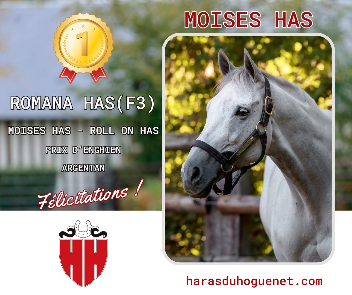 Haras du Hoguenet (@harasduhoguenet) on Twitter photo 