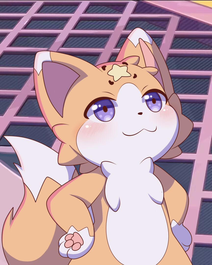 Ajun (@ajun_fish) on Twitter photo 