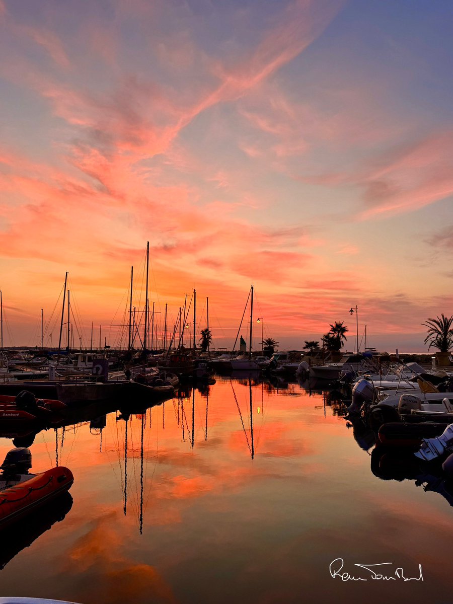 tombarel rené tweet media