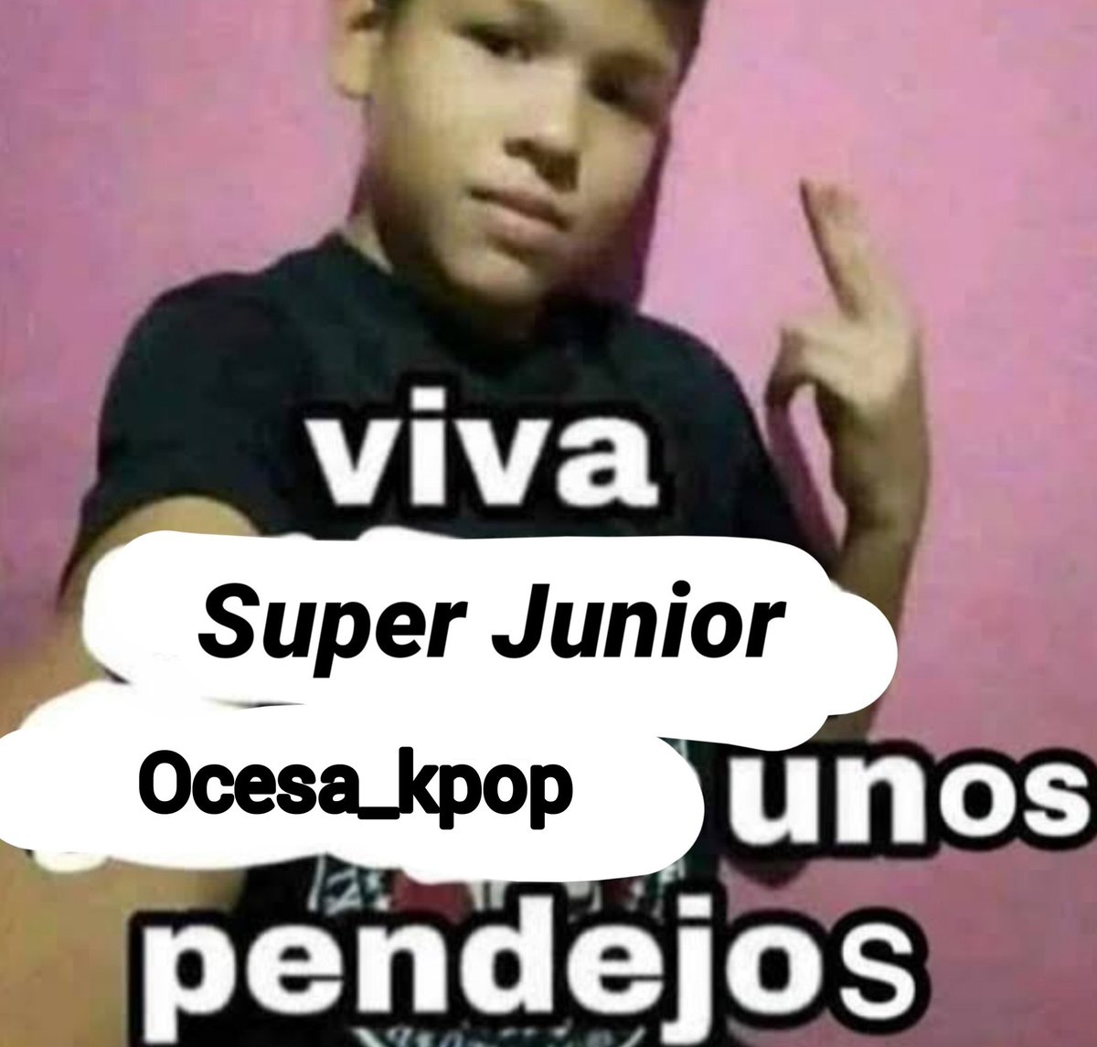 AmargaFresa's tweet photo. Yo nada más vengo a decir esto CHINGA TU MADRE OCESA pinche escenario pedorro que les diste a los PODEROSISISMOS SJ no te lo vamos a perdonar 

Fue la mejor experiencia gracias a ellos porque por mi Ocesa que se extinga 
#SUPERJUNIOR #SS10inMéxico https://t.co/8AoNG7otqt