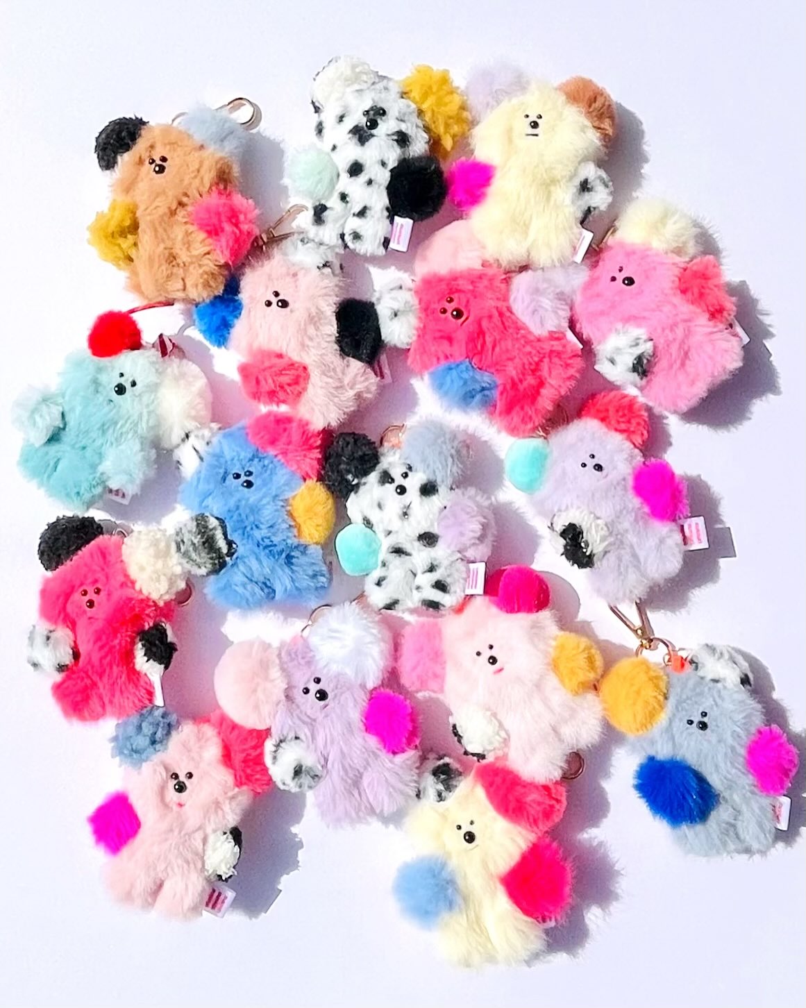 erikaページ ERIKA METAL EVOLVE Sunglasses in Black and Evolve Photo Blue