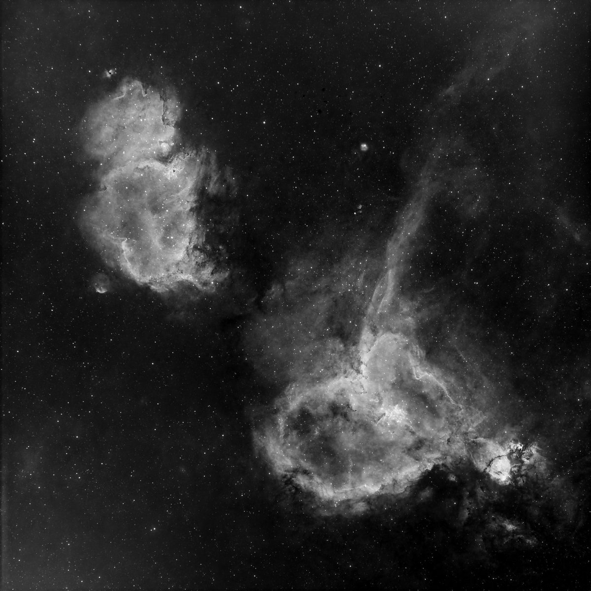 3.5 hours of the Heart &amp; Soul Nebula in Ha 7nm to add to RGB &amp; Oiii - 135mm Samyang with ASI533mm. #astrophotography #ZWO