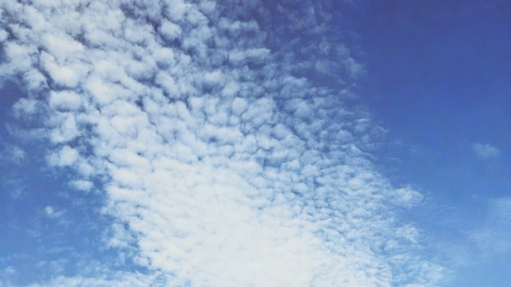 こんにちは☀

    今日は暑い日🥵

     今週もゆっくりとですが
           よろしくお願いします😊