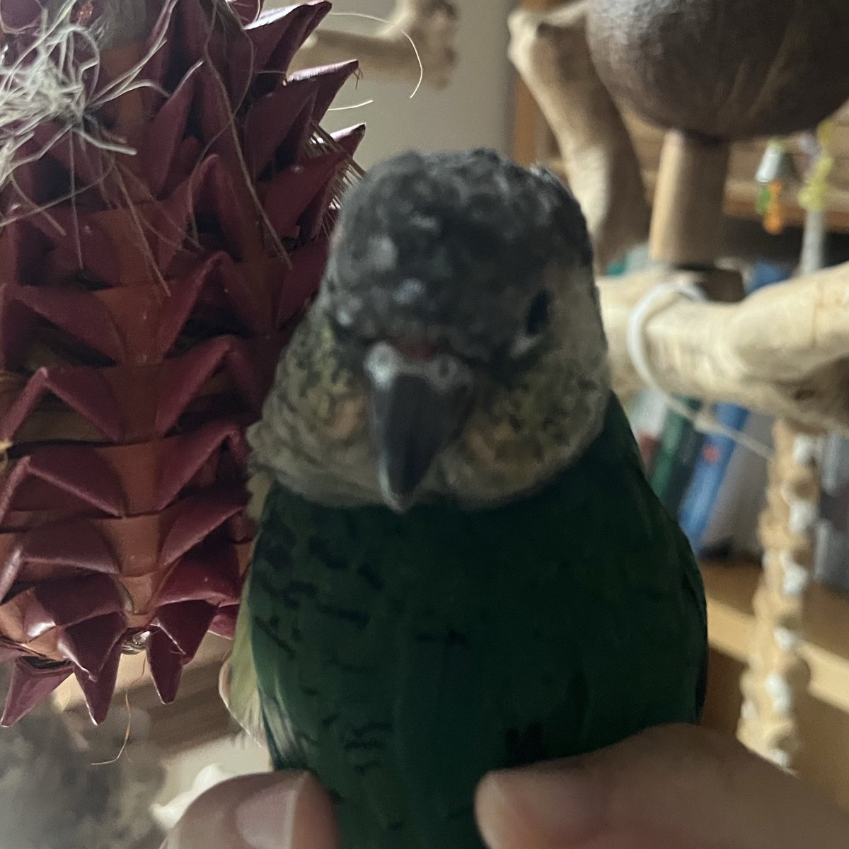 turtle03114's tweet image. 따뜻하고 부드러워