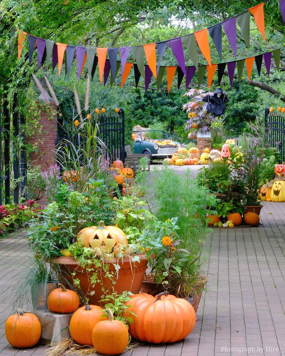 横浜イングリッシュガーデンのハロウィーン #花のある風景 ＼ ローズ