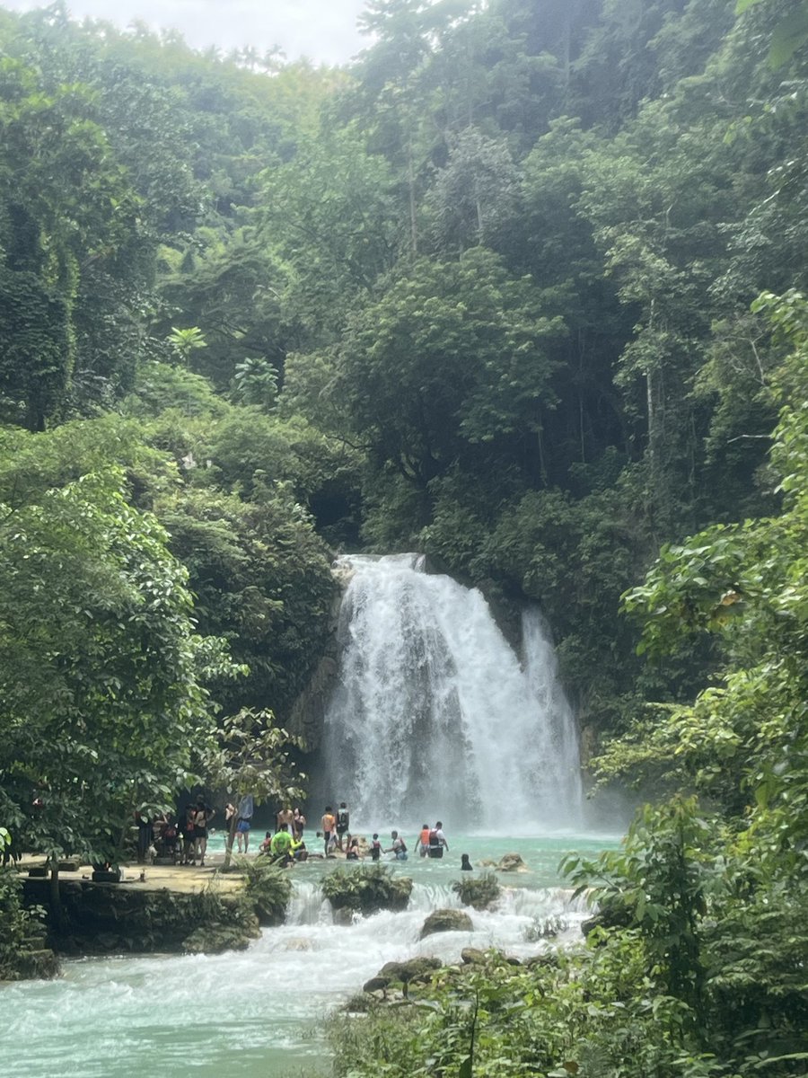 robizhome's tweet photo. 📍Moalboal and Oslob Cebu.

🍁Tumalog and Kawasan falls. https://t.co/O4leNBTJF8