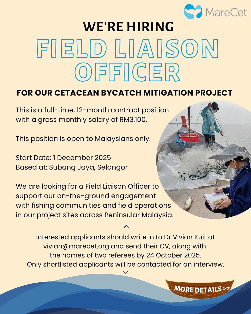 MareCet Research and Conservation tweet media