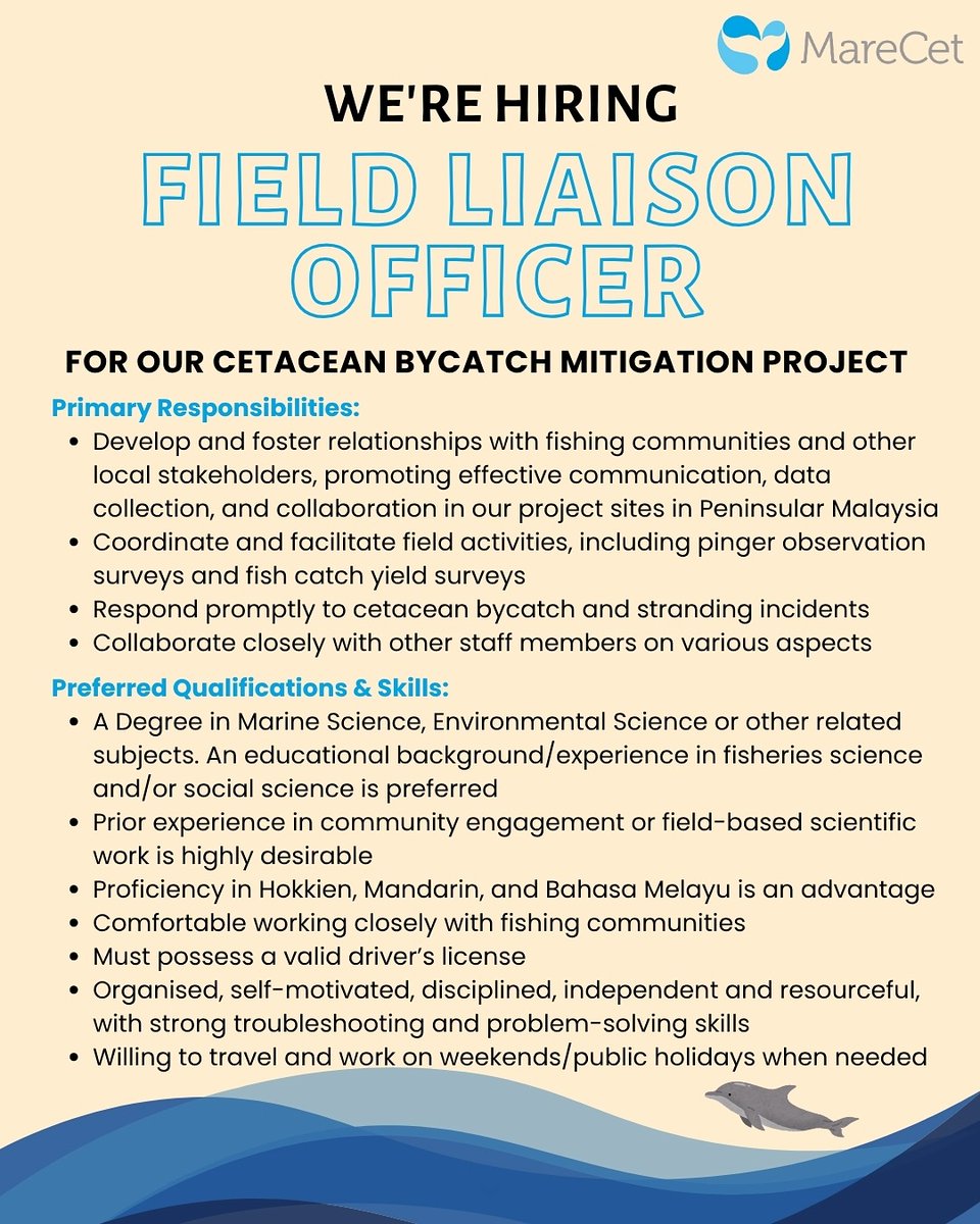 MareCet Research and Conservation tweet media