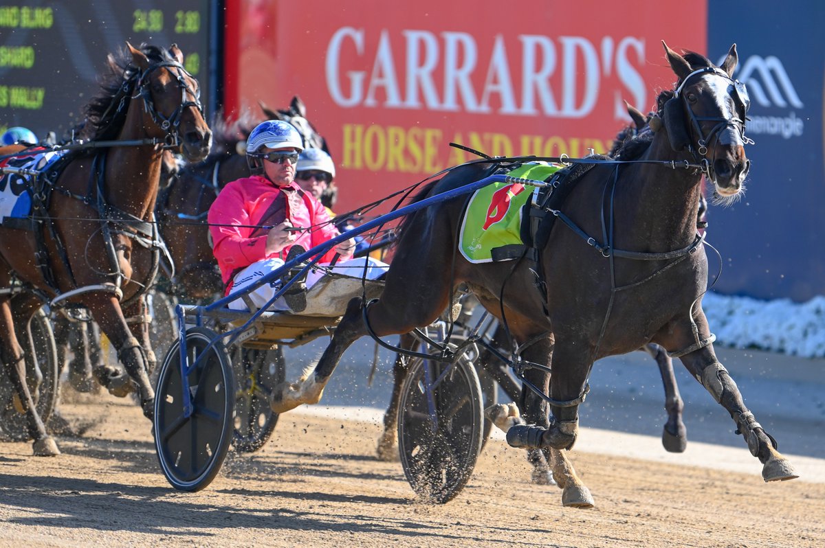 Club Menangle tweet media