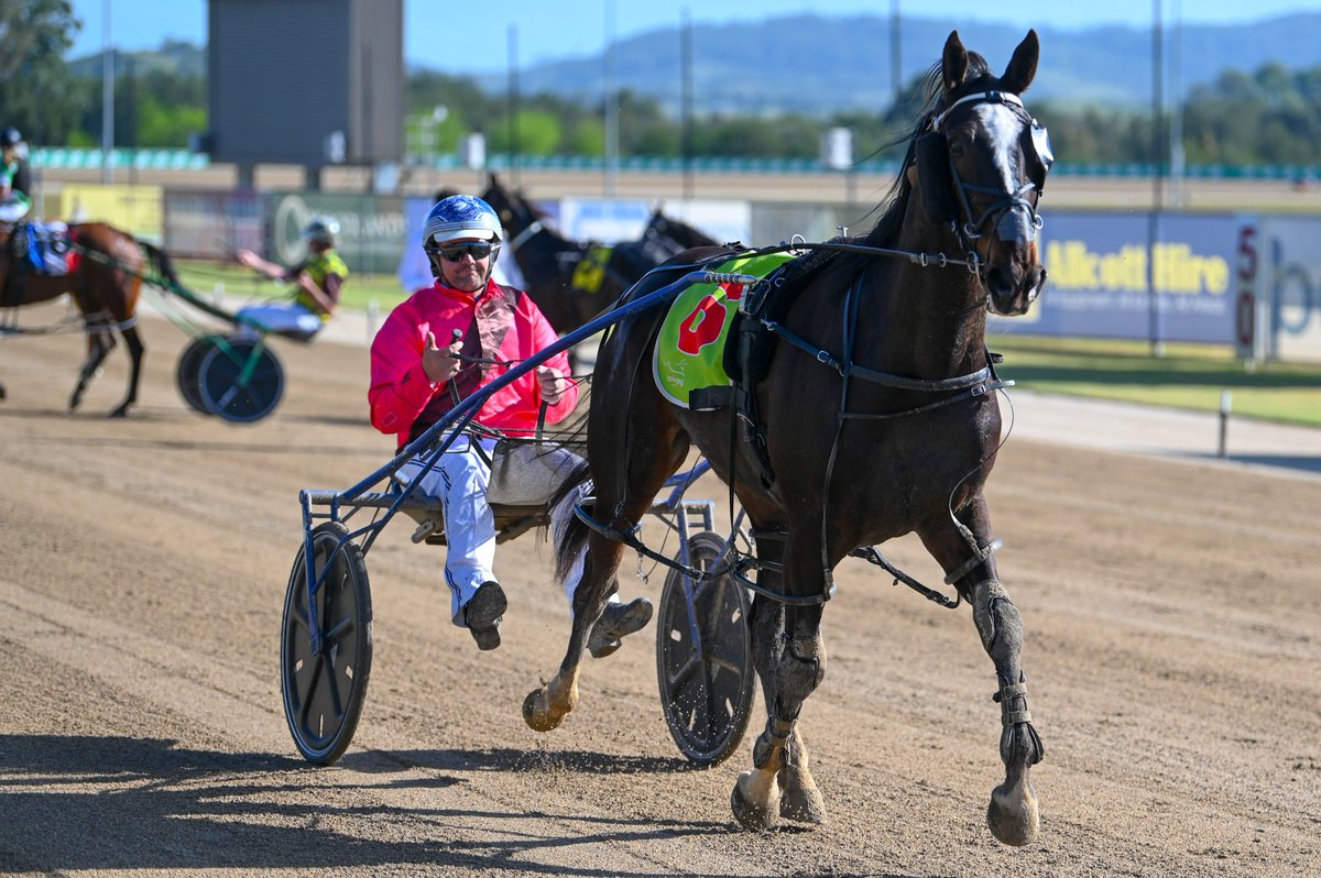 Club Menangle tweet media