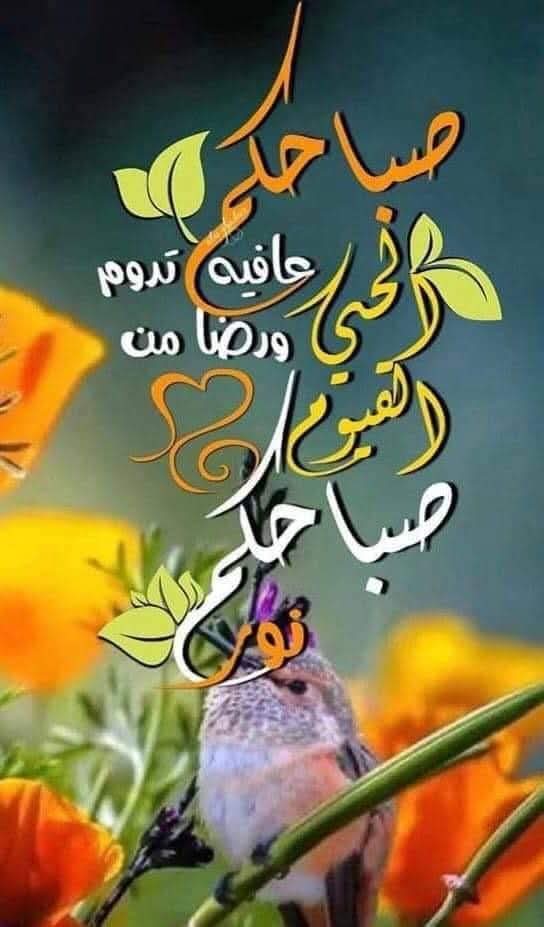 *"#رسالة_اليوم"*💌🌸 
*"كم هو مريح للفؤاد حين تُسلم زمام أمره إلى خالقه وفاطره الذي هو أدرى به،وأكثر علما بالدروب ومآلاتها،حين تبرأ من ضعفك إلى قُوته،ومن محدودية علمك إلى سِعة معرفته،فيختار لك من الأقدار أطيبها،ومن المسارات أكرمها،ويعطيك حتى يرضيك،وذلك هو غاية المُنى"*🌸🌹♥️💪