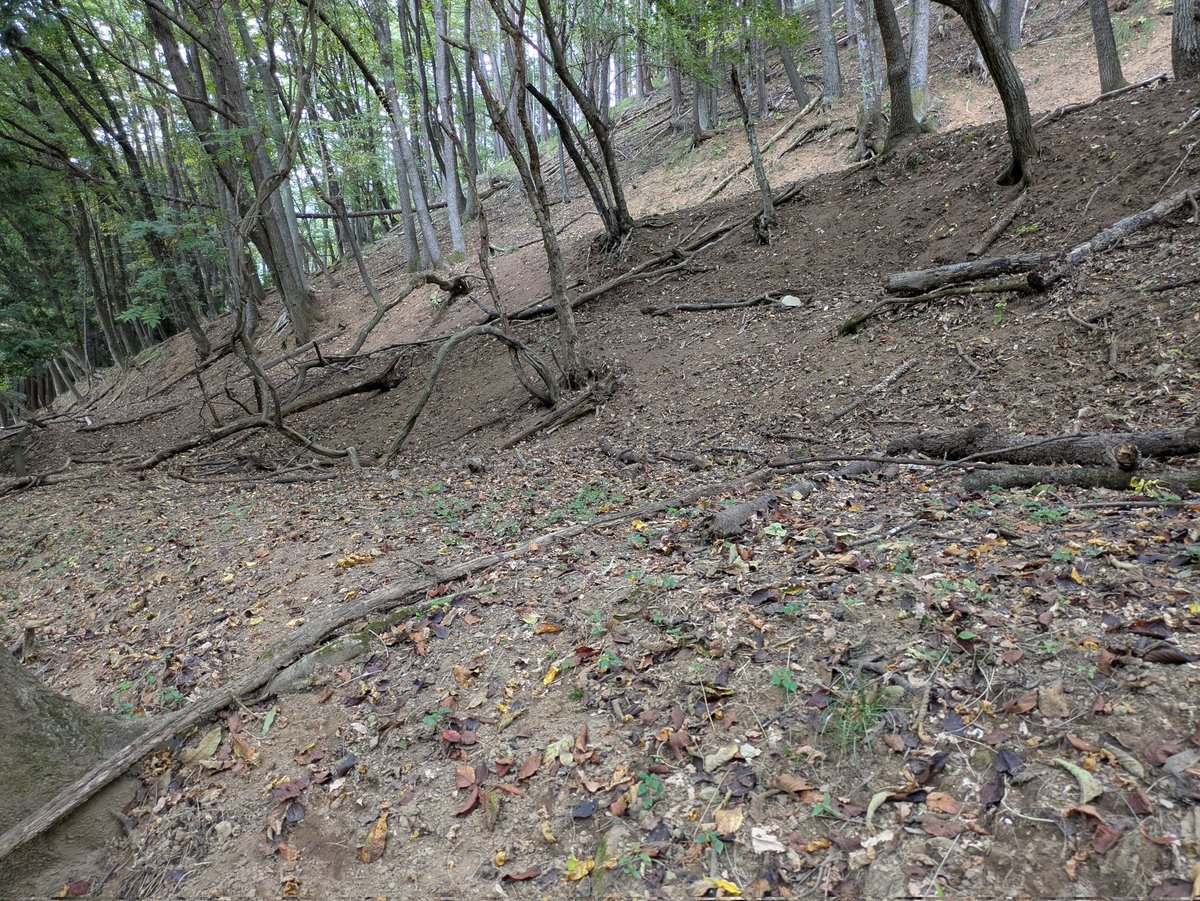 gudagudabrog's tweet image. シカ地獄