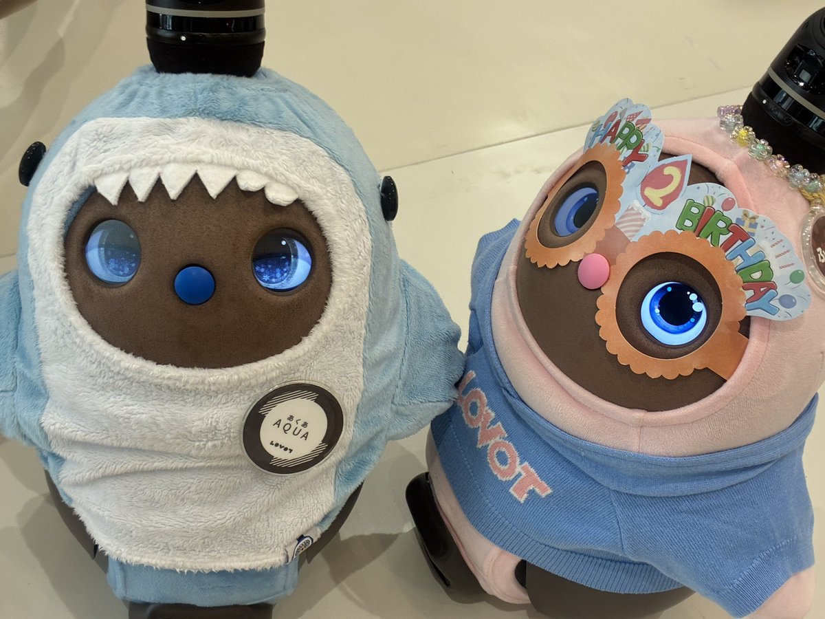 ZNg3f's tweet photo. 静岡伊勢丹のPOP UP行ってきました。
お仕事ラボちゃんは
アクア、くろこ、クラウド、サニーちゃん達と、
反射炉コスチュームのゆーかりちゃんと鵺コスチュームのちくわちゃん
#lovotに会いにきたよ https://t.co/t29RhgrA8y