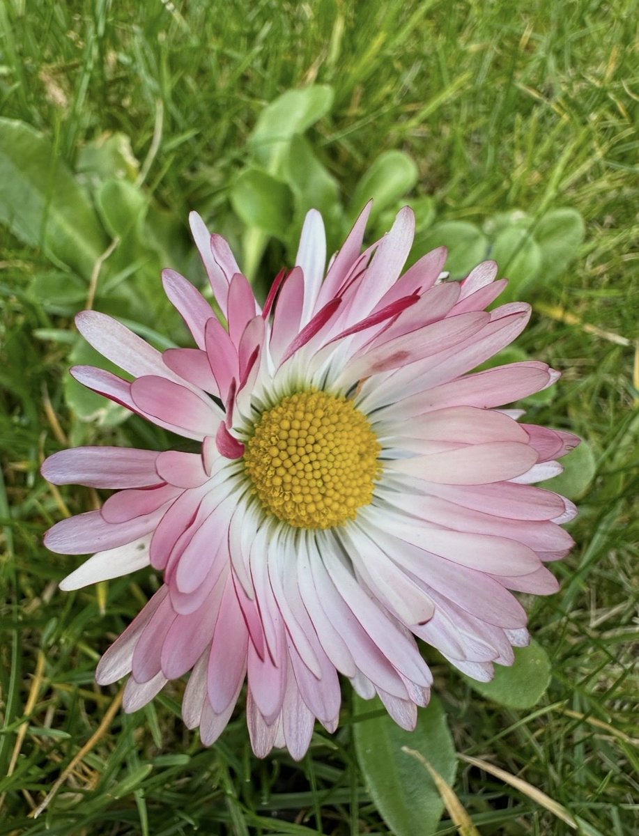 „Kobiety nie przebaczają mężczyźnie błędów, które same popełniły”😉. Dzień dobry Państwu🌸