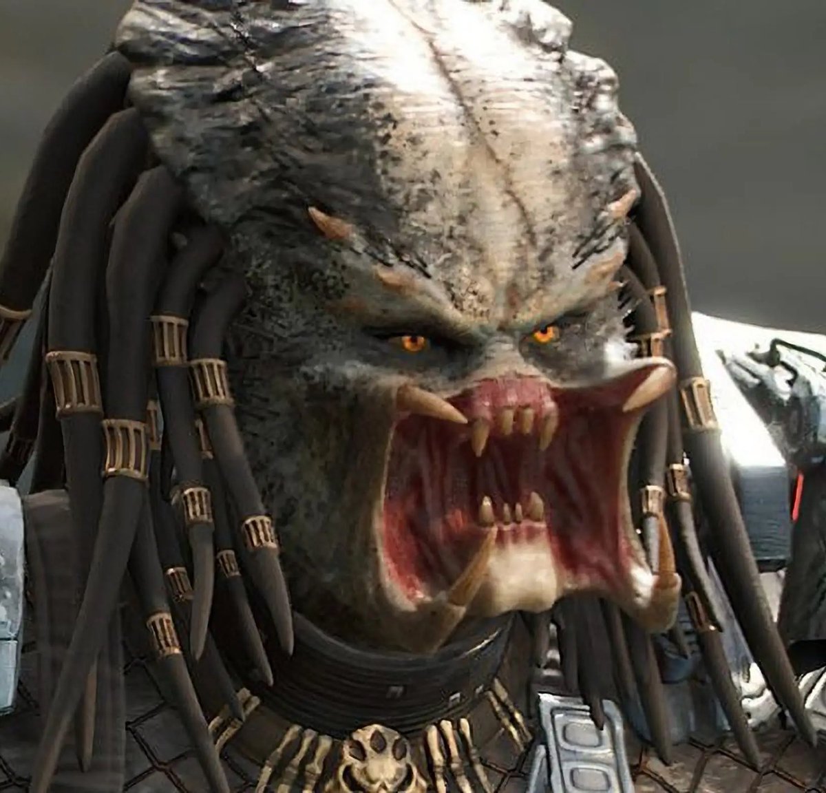 se rumorea que la coqueta forma parte del reparto de predator