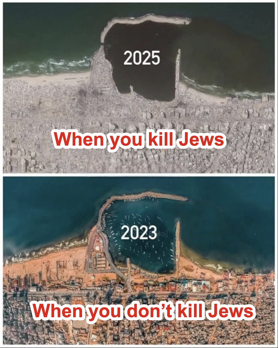 Daniel (@votelewko) on Twitter photo 