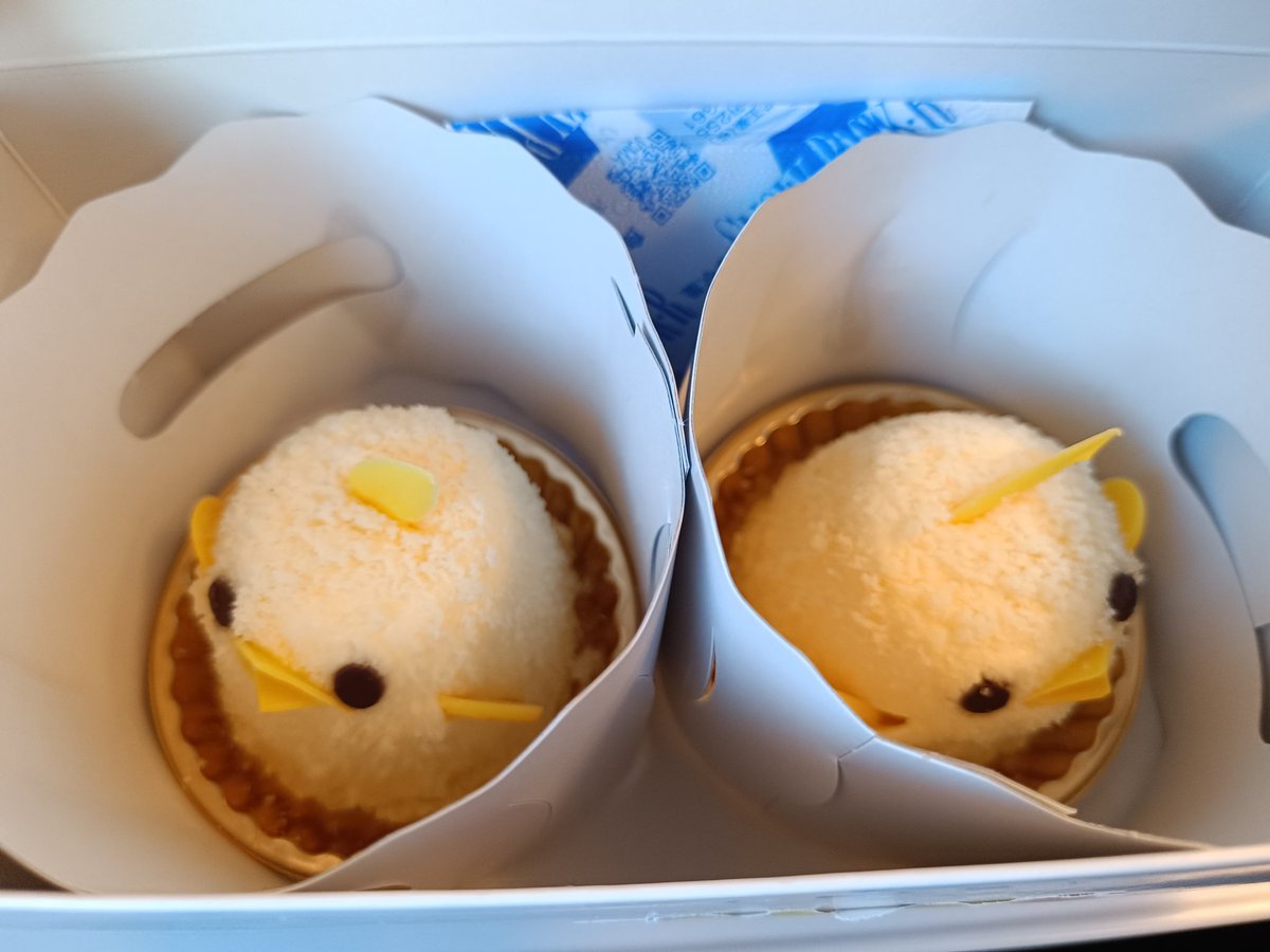 yoko_clover's tweet image. ぴよりんを連れて東京へ🐥
ポケモン名古屋遠征楽しかった〜
初めての方々や懐かしい方々と色々交流できて良かった
ありがとうございました!