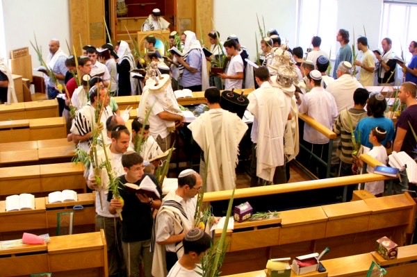 ABSOLUTELY INCREDIBLE MOMENT JUST NOW
As we finished our SEVENTH time walking around the Bima and Torah with our Four Species, word came through that SEVEN of our hostages were handed over to the IDF! 
That feeling of the walls of Jericho falling to the ground…
Thank you God!