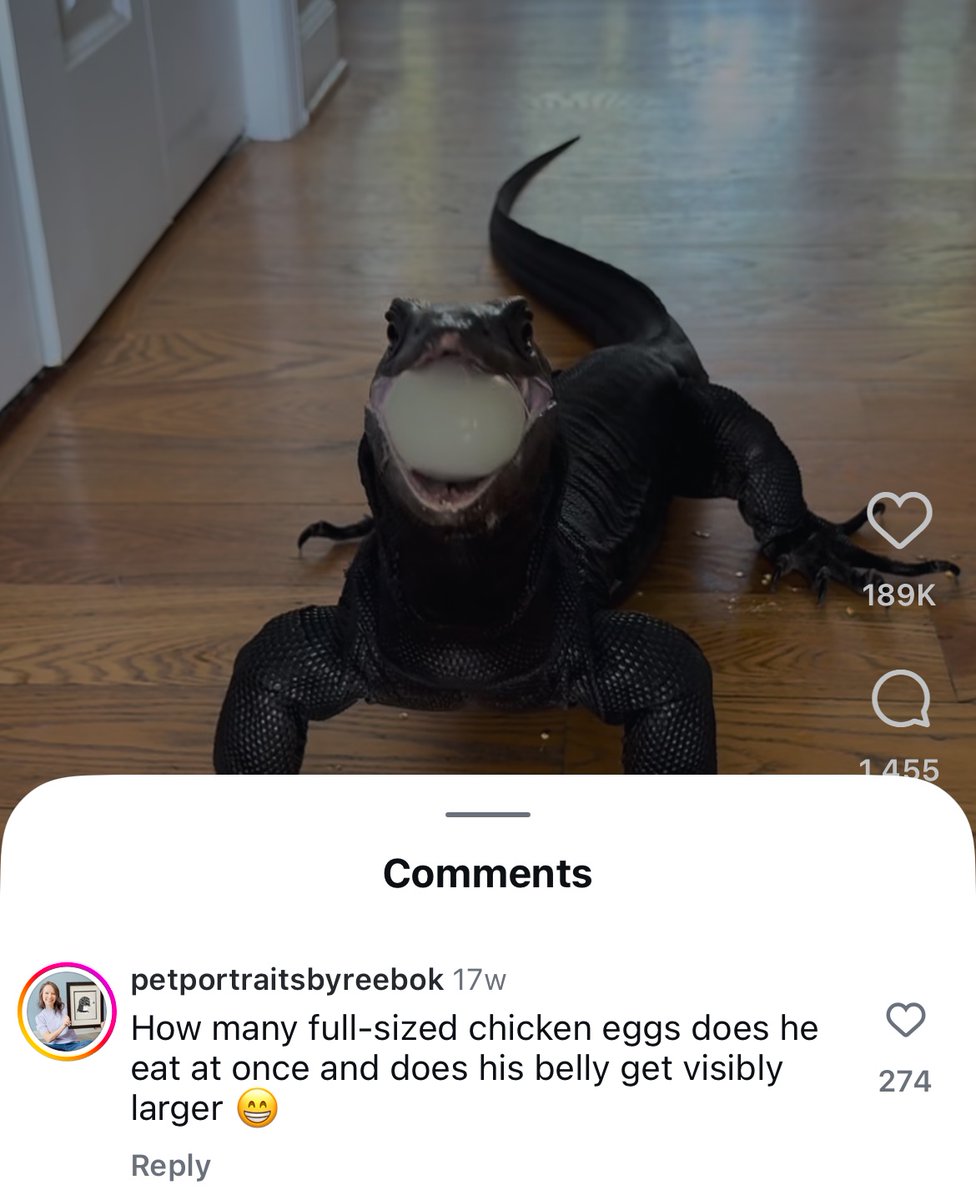 Images AI Could Never Recreate (@imagesaicouldnt) on Twitter photo 