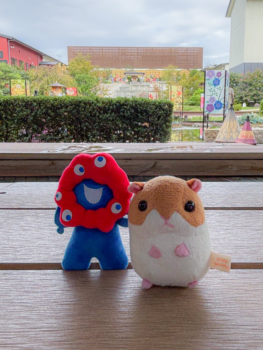 みゃくみゃく さん