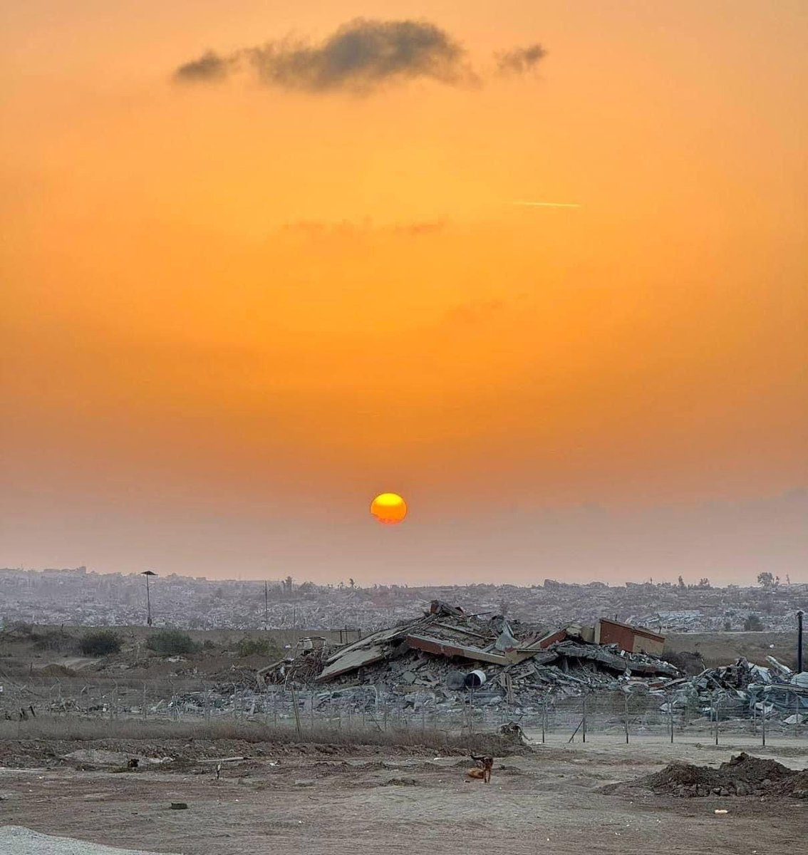 اي جرحٍ هذا الذي لا يتوقف عن النزف ...
رحم الله شهداء غزة وتقبلهم 
#صالح_الجعفراوي 
#غزة