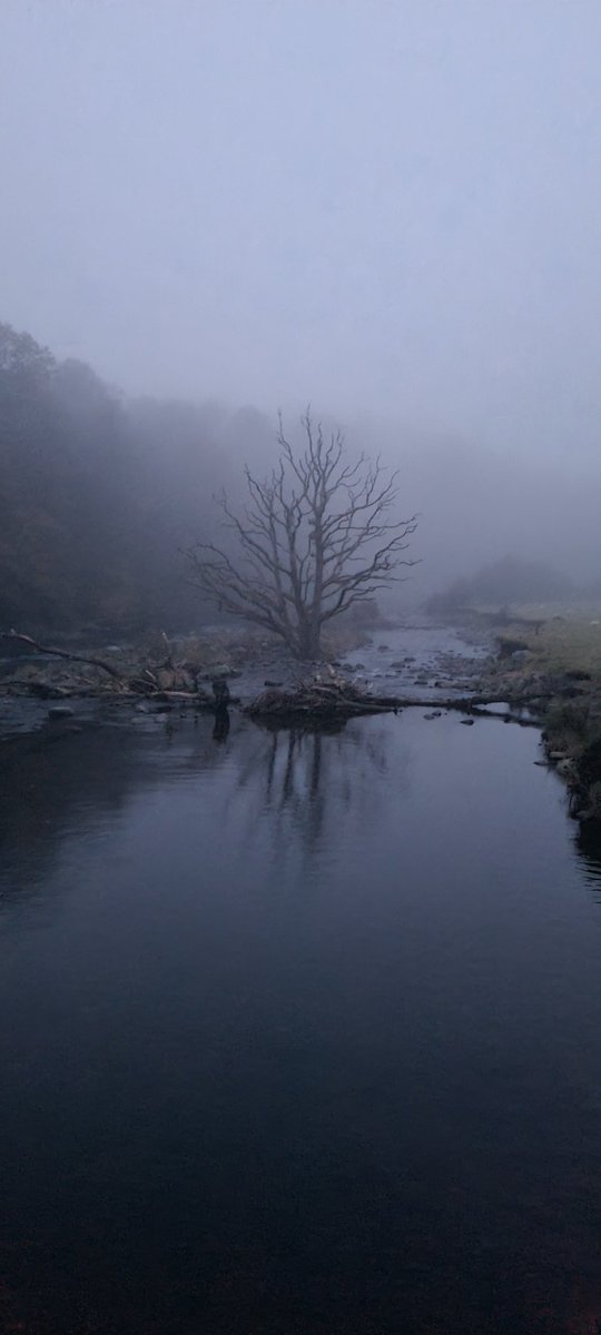 A very foggy but beautiful walk into Keswick last night along the old railway line from Thelkeld. 🩶